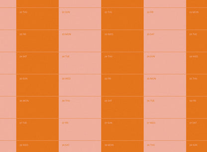 2025 Stripe Calendar 50x70cm