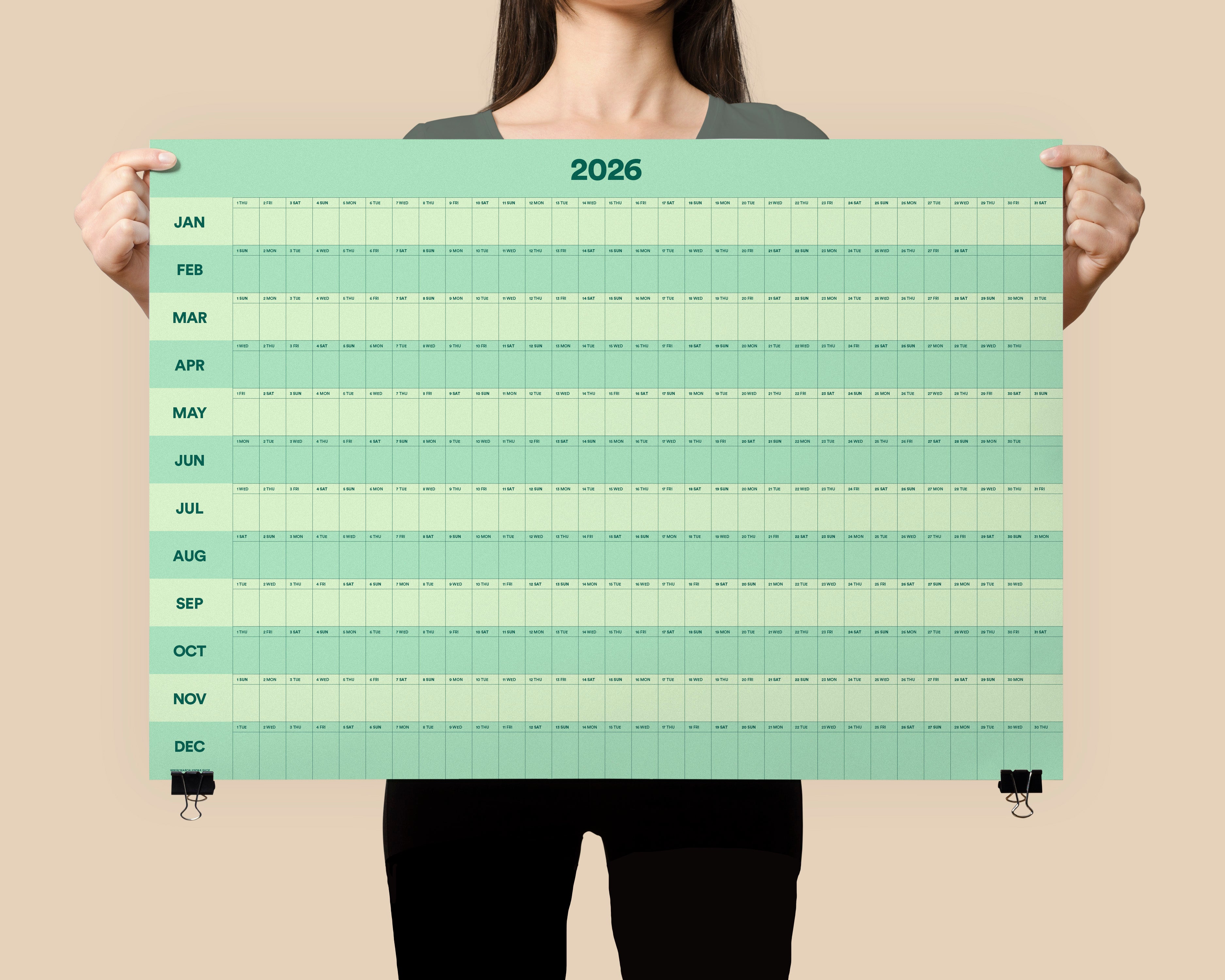 2026 Green Stripe 70x50cm